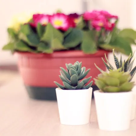 Διαμέρισμα Casa Lido Venezia Center Located With Balconies *