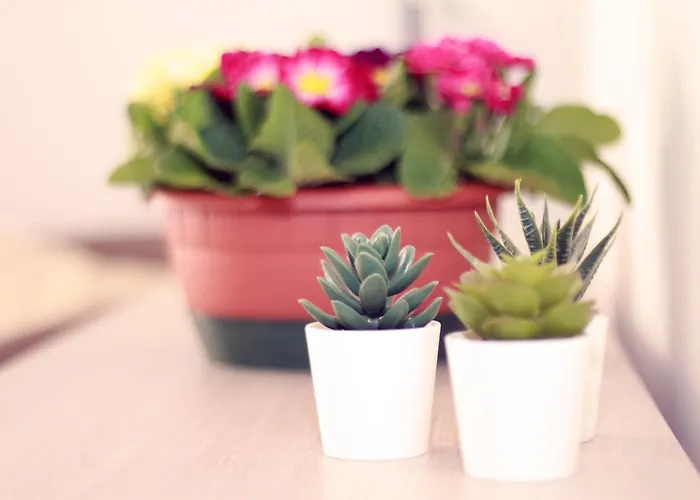 Lägenhet Casa Lido Venezia Center Located With Balconies *